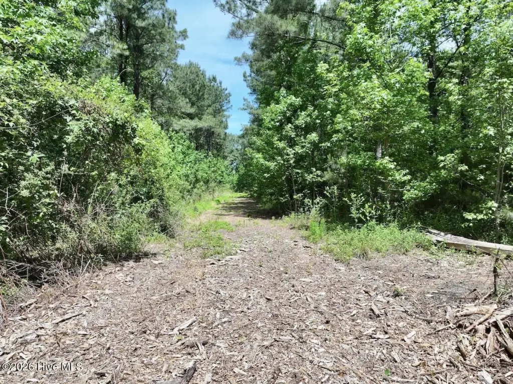 Picture 21