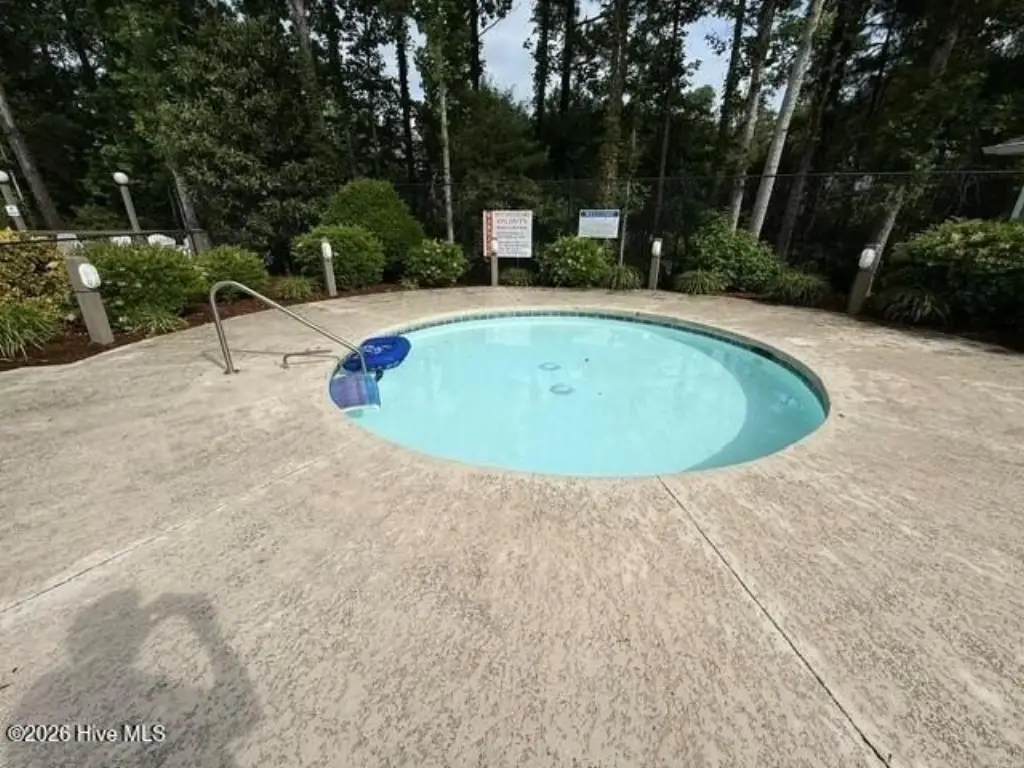 Picture 15