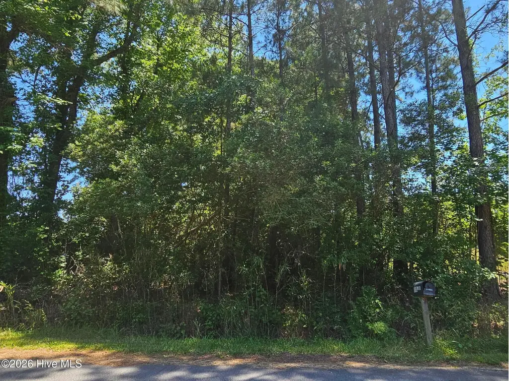 Picture 6