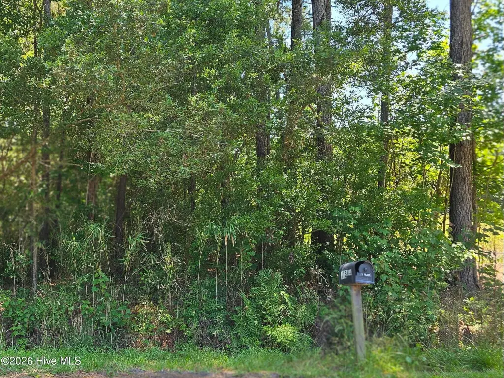 Picture 5