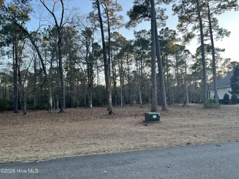 Golf Course Lot in Shallotte