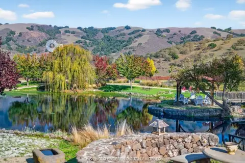 Premier Equestrian Estate with Vineyard