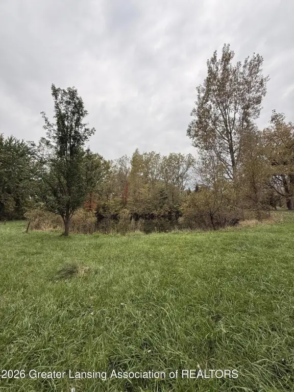 Picture 28