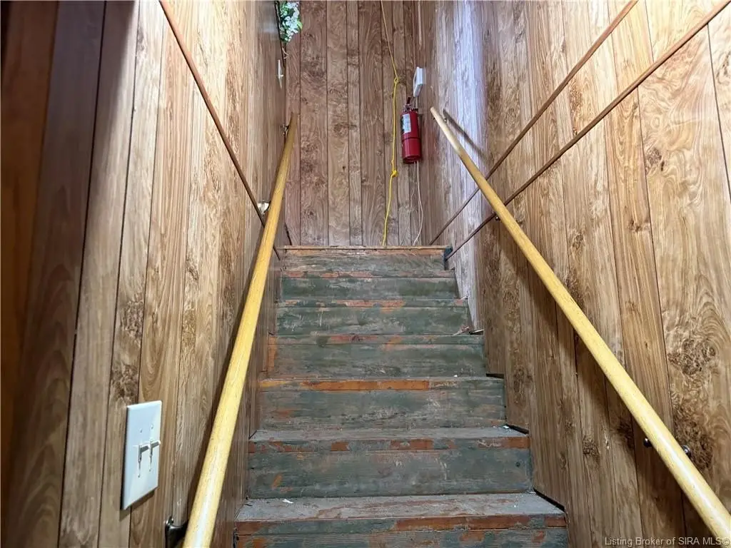 Picture 15