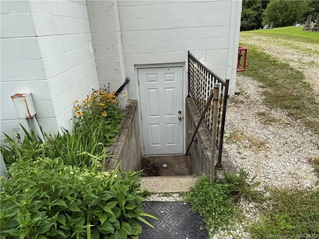 Picture 7