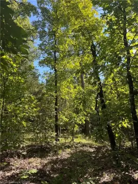Scenic Oklahoma Land For Sale