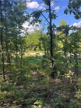 Heavily Wooded Land in Red Oak