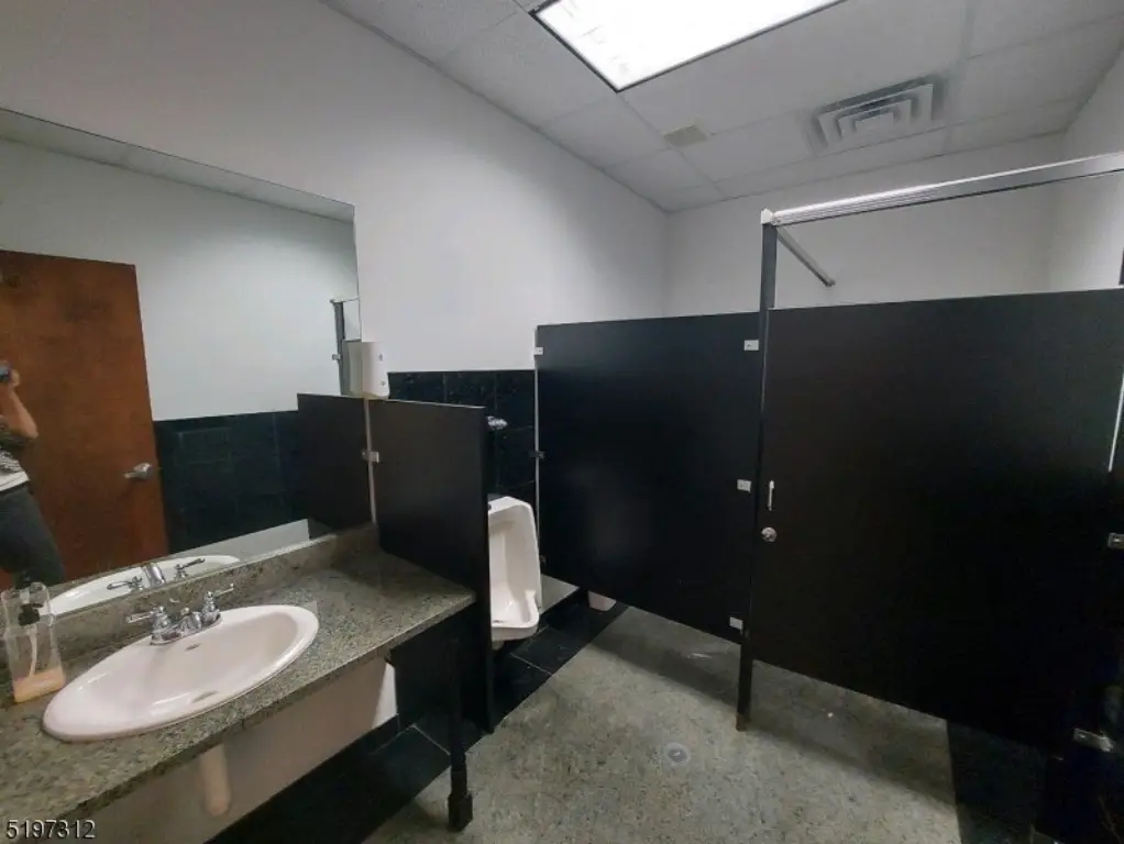 Picture 15