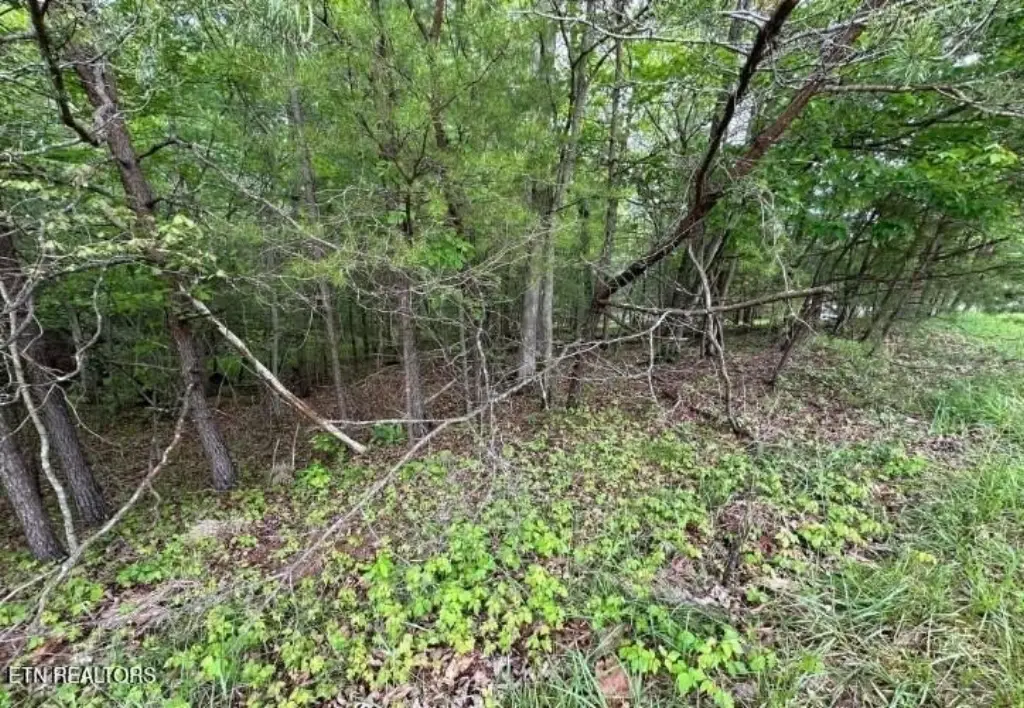 Picture 2