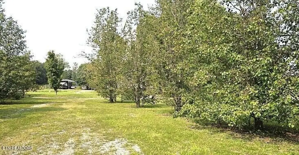 Picture 4