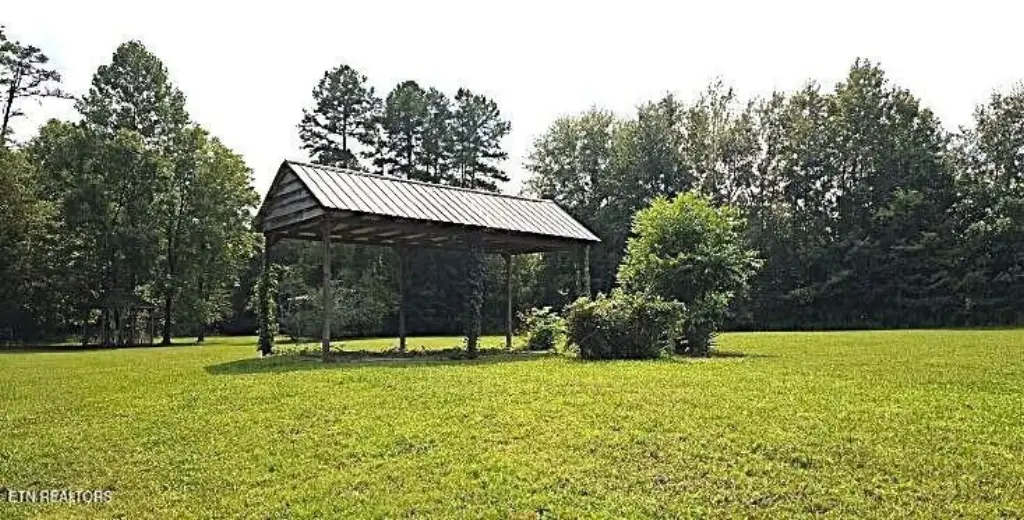 Picture 7