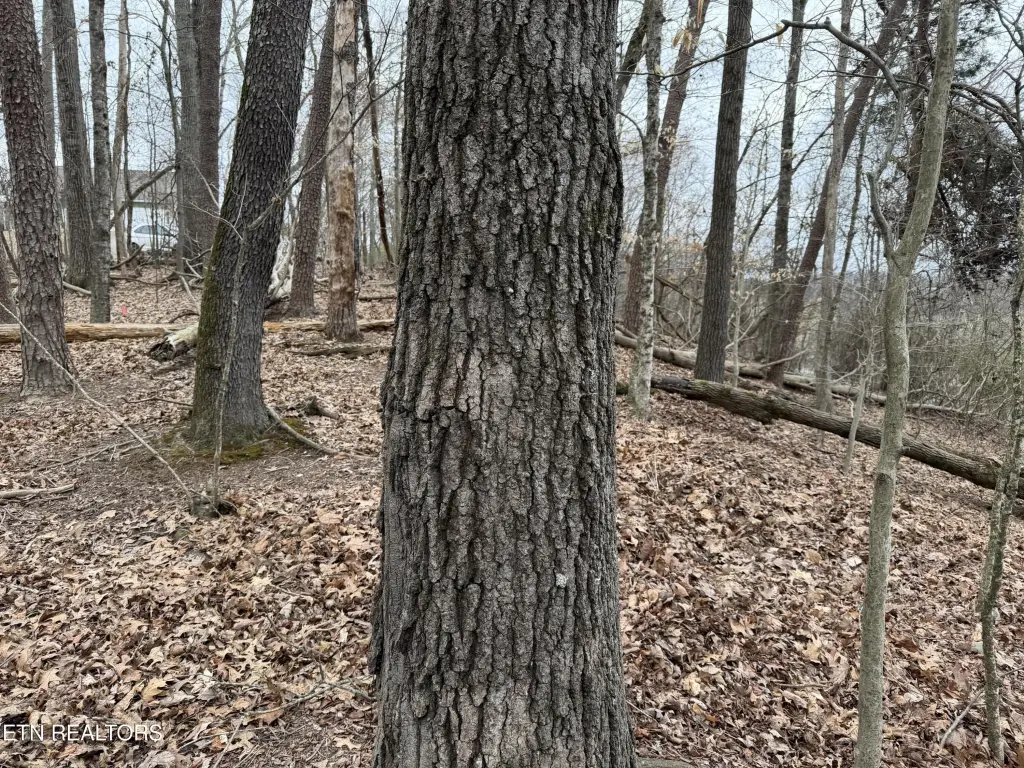 Picture 15