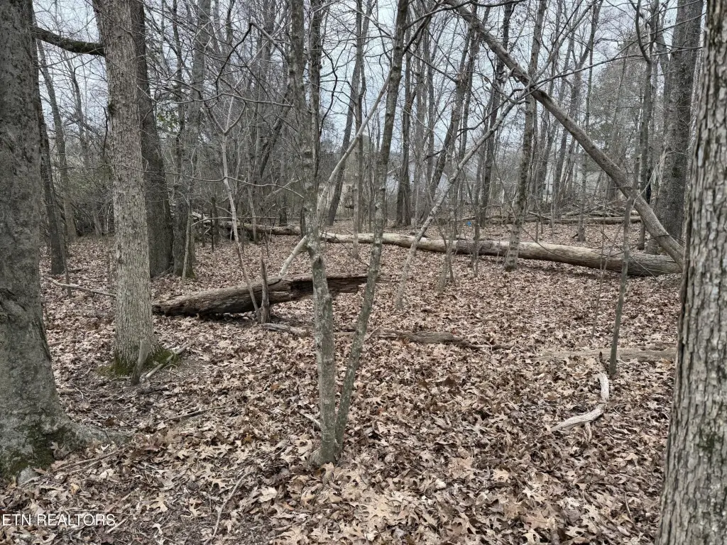 Picture 13