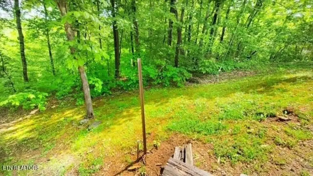 Picture 4