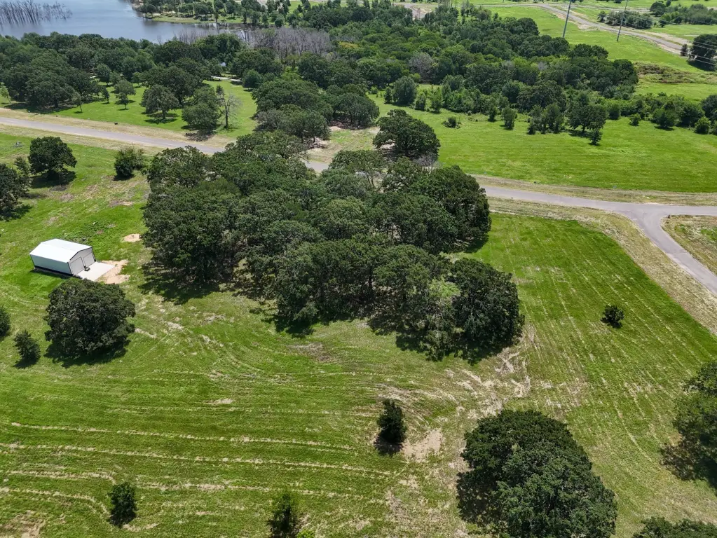 Picture 29