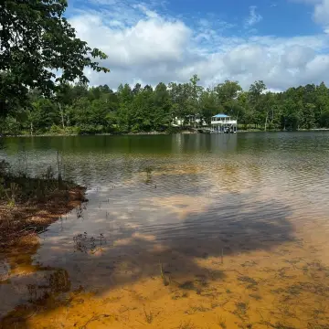 Lakeshore West Wooded Acreage