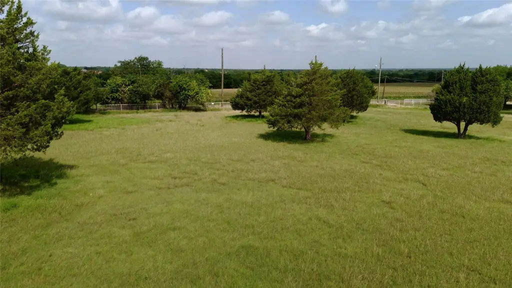 Picture 11