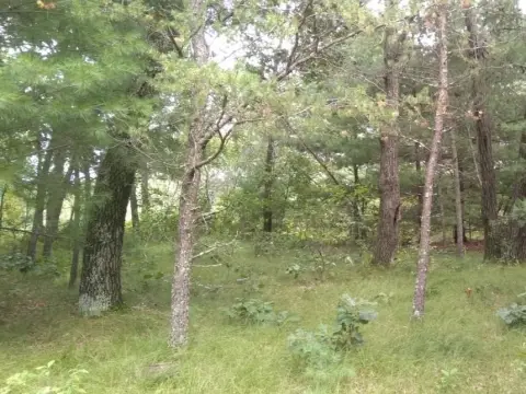 Lake Arrowhead Home Site