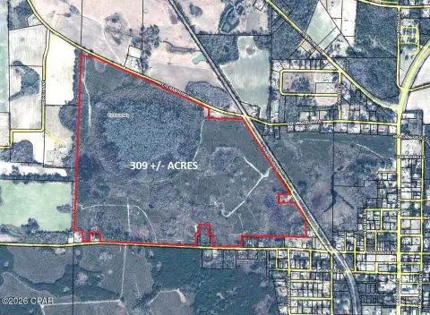 Pine Hunting Land