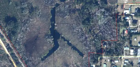 Pine-Planted Hunting Land