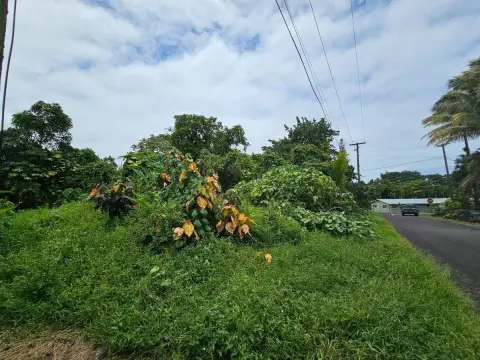 Vacant Land Near Cliffside Park