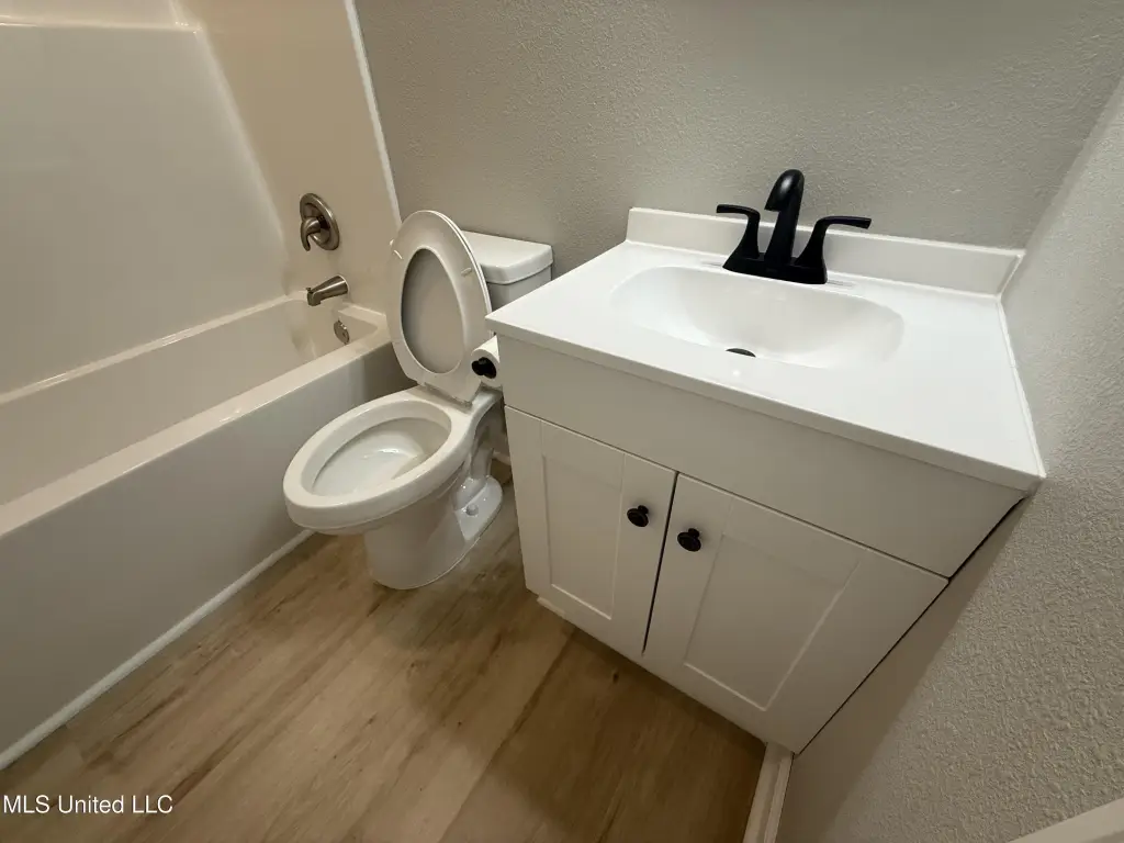 Picture 41