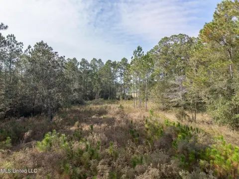 Residential Land in Ocean Springs