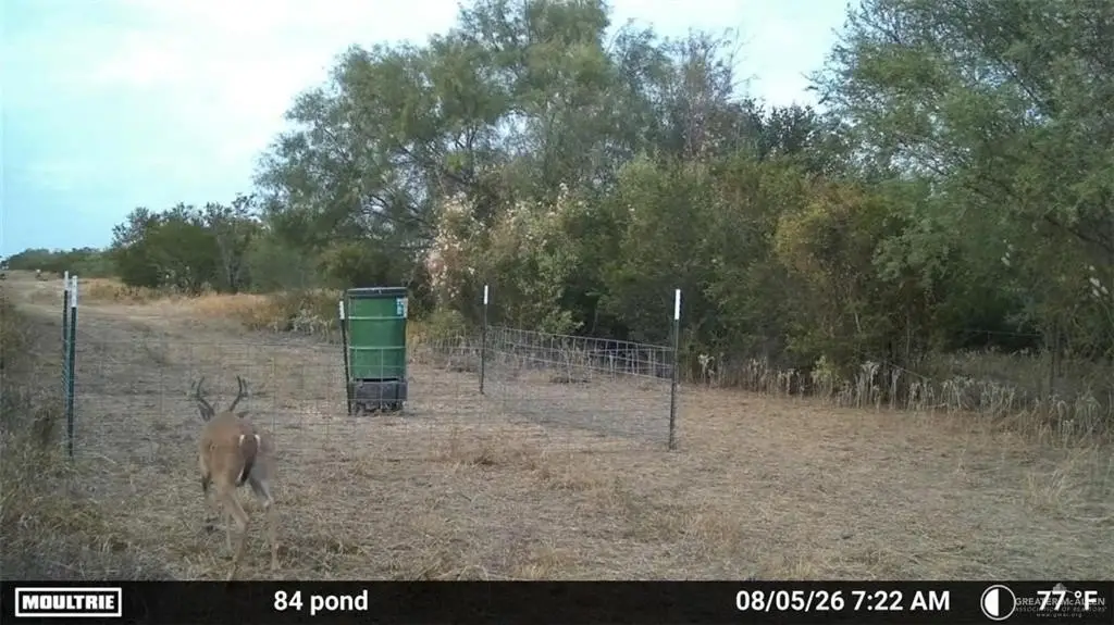Picture 15