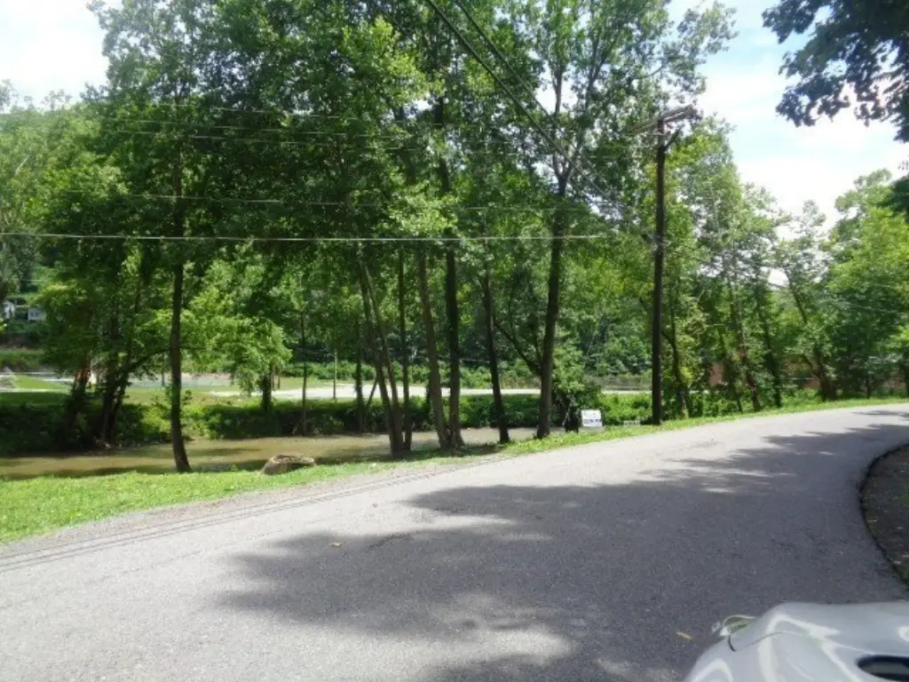 Picture 8