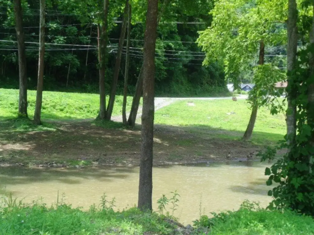Picture 4
