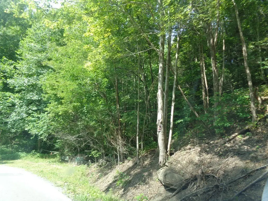 Picture 3