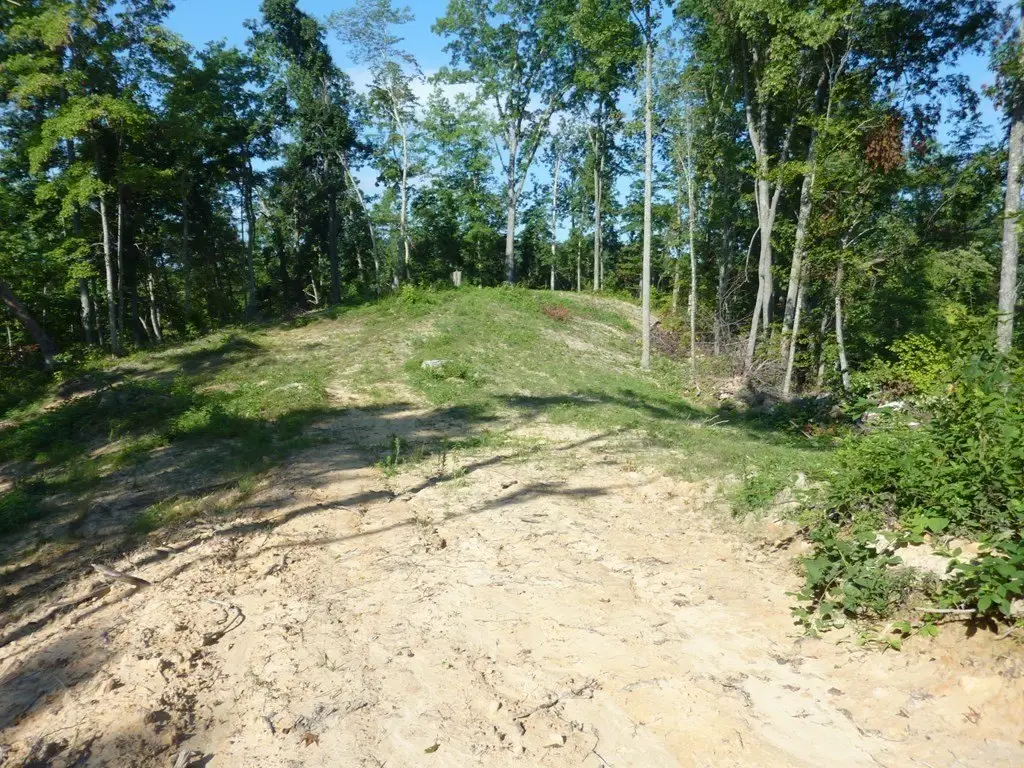 Picture 8