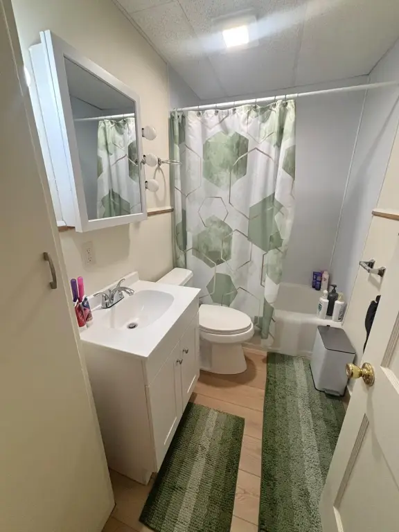 Picture 18