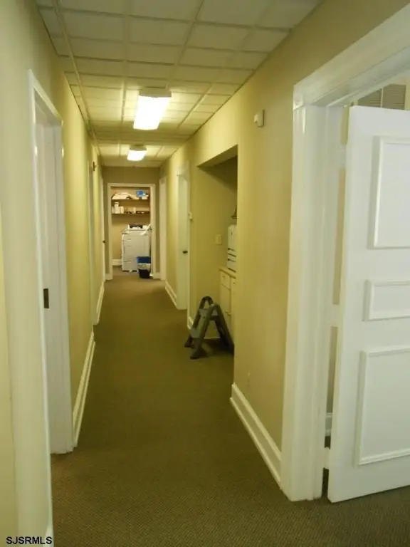 Picture 19