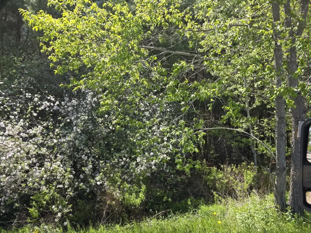 Picture 6