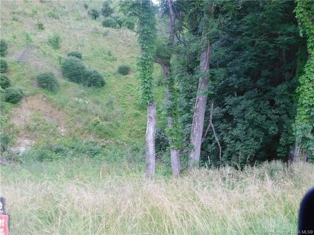 Picture 3