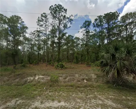 Lehigh Acres Land Opportunity