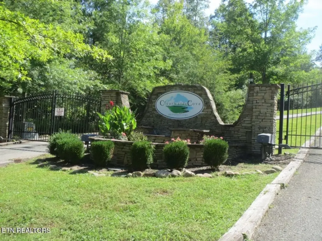 Picture 3