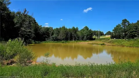 Ready-to-Build Land with Pond