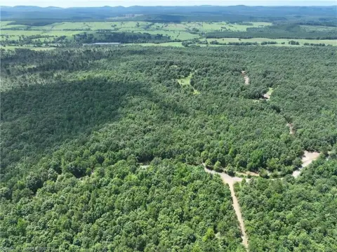 50-Acre Hunting Land in Watson, OK