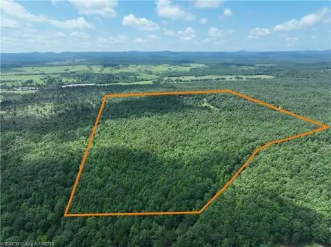 65-Acre Hunting Land in Watson, OK