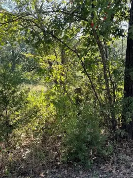 Land in Hawk Cove, Texas