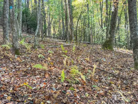 Residential Land in Powder Creek Estates