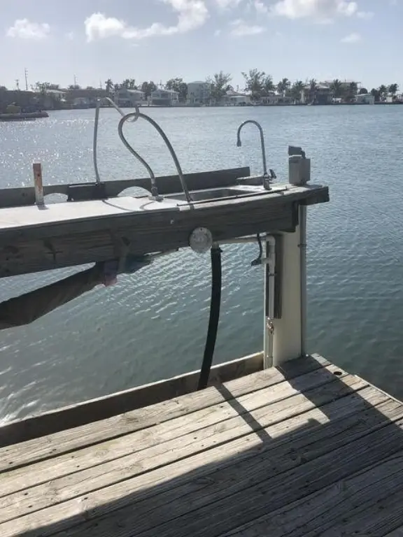 Picture 25