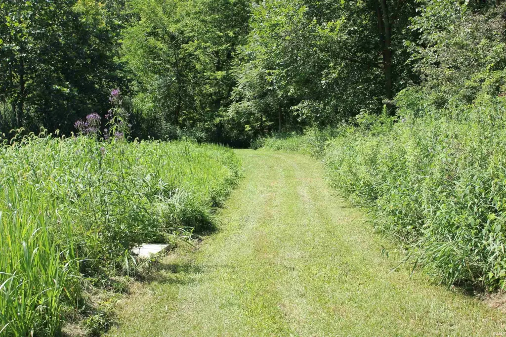 Picture 29