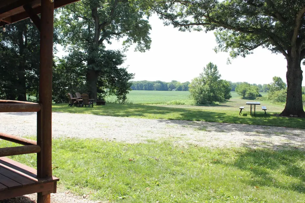 Picture 41