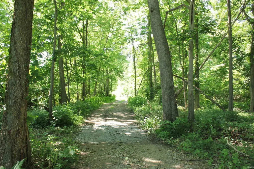 Picture 38