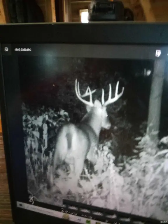 Picture 36