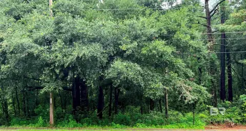 Fairhope Residential Land Opportunity