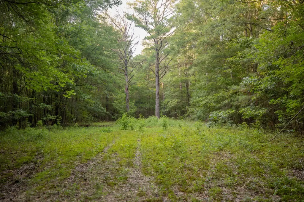Picture 24
